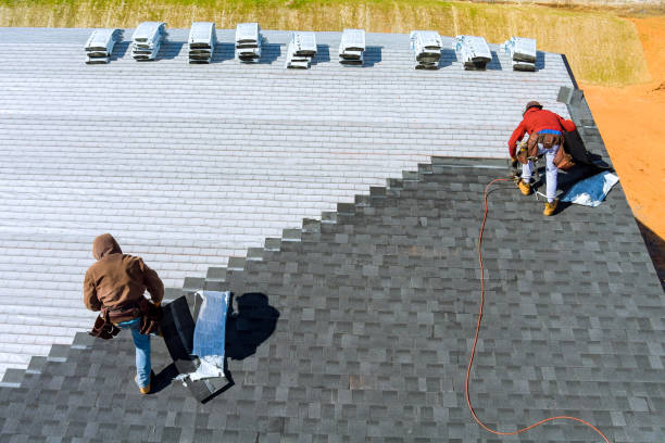 Best Metal Roofing Contractor  in Bowdon, GA